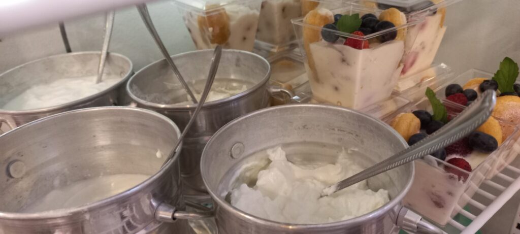 yogurt tasting